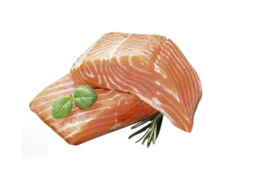 Arion Ra&ccedil;&atilde;o Essential Adult Salm&atilde;o para C&atilde;es