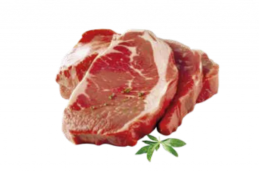 Arion Ra&ccedil;&atilde;o Essential Senior Light para C&atilde;es