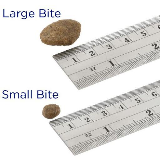 Fish4Dogs Cibo Secco Finest Salmone Complete Regular Bite