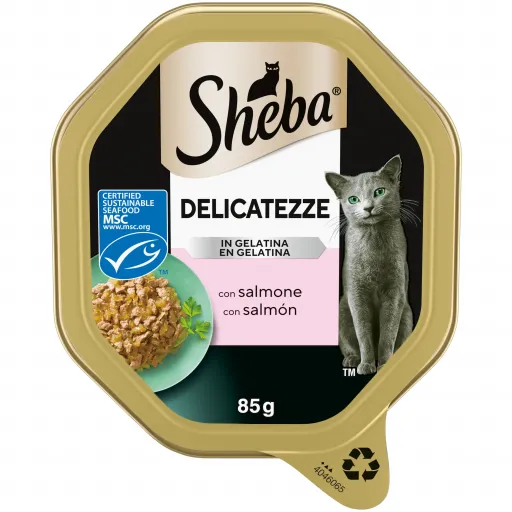 Sheba Comida H&uacute;meda Completa en Gelatina con Salm&oacute;n para Gatos Adultos