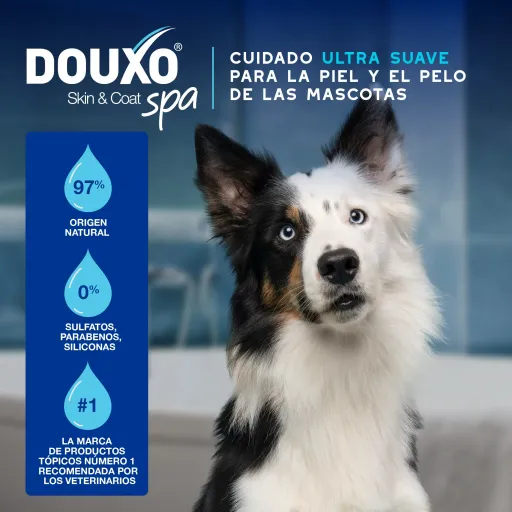 Douxo Nettoyant Auriculaire Spa pour Chiens et Chats
