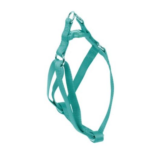 Nayeco Arnes Basic Aguamarina para Perros