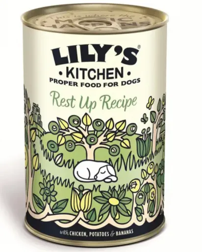 Lily's Kitchen Recovery Recipe Wet Food Tin for Dogs
