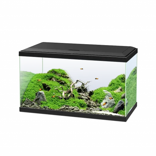 Ciano Acurio 60 Negro para Peces