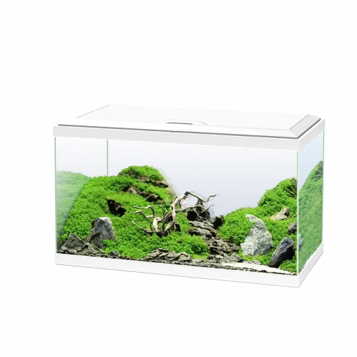 Ciano Acuario 60 Blanco para Peces